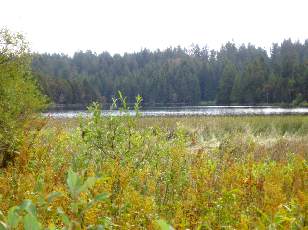 Etang de la Gru�re