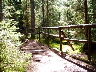 Etang de la Gru�re