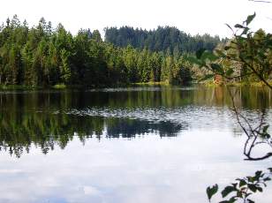 Etang de la Gru�re