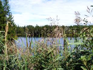 Etang de la Gru�re