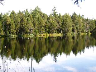 Etang de la Gru�re