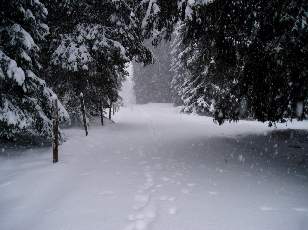 Temp�te sur le Jura