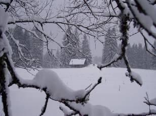 Temp�te sur le Jura