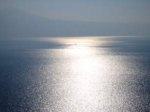 Vigne du Lavaux en novembre avec vue sur le lac L�man