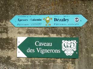 Vigne du Lavaux en novembre