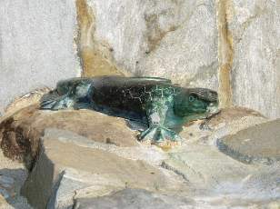 Subtilit� sur le parcours, si vous le rencontrez faites lui un petit coucou...