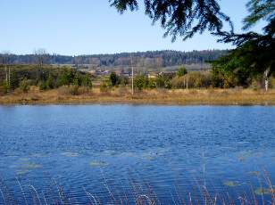 Lac et tourbi�res de Malpas, les pr�s Partot et le bief Belin
