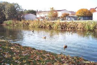 R�veries d'automne 