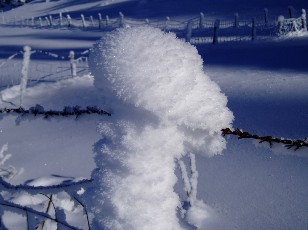 Le lac des Taill�res en hiver