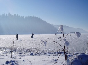 Le lac des Taill�res en hiver