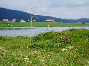 Le lac des Taill�res