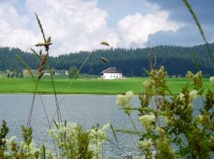 Le lac des Taill�res