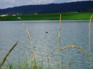 Le lac des Taill�res