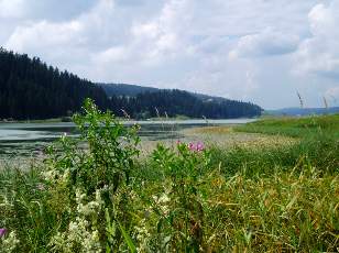 Le lac des Taill�res