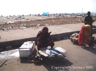 Bord de mer � Madras