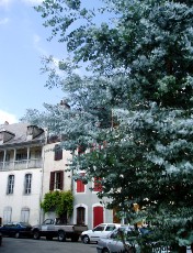 Ville de Bagn�res-de-Bigorre