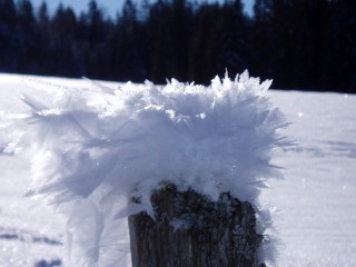 Beaut� et magie de la Nature jouant avec les �l�ments!