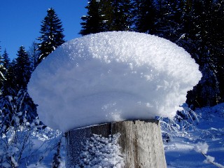 Beaut� et magie de la Nature jouant avec les �l�ments!