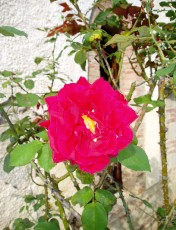 Magie et Beaut� de la Nature