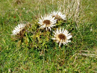 Couleurs d'automne dans le Jura Vaudois � L'Auberson 