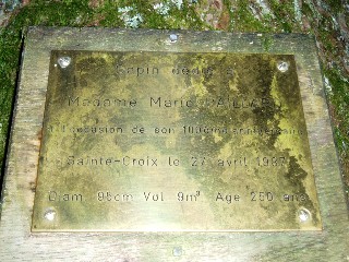 Le Sapin de l'arri�re grand-m�re Marie!