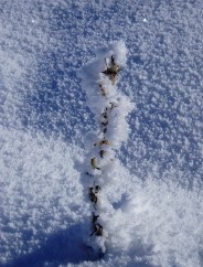 Beaut� de la Nature