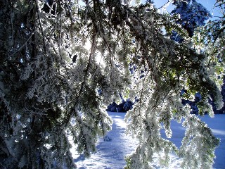 Beaut� de la Nature