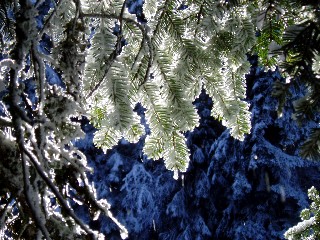 Beaut� de la Nature