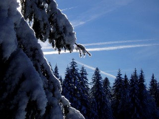 Beaut� de la Nature