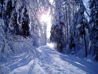 Beaut� de la Nature