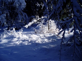 Beaut� de la Nature