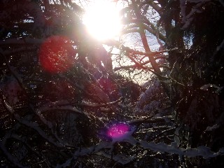 Beaut� de la Nature