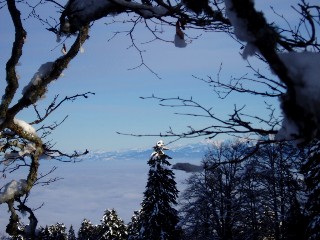 Beaut� de la Nature