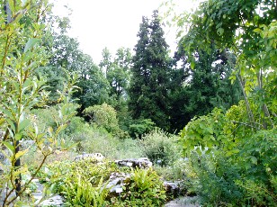 Jardin botanique au mois d'ao�t � Berne