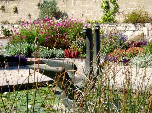 Jardin botanique au mois d'ao�t � Gen�ve