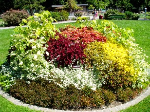 Jardin botanique au mois d'ao�t � Gen�ve