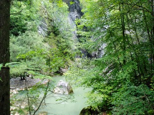 Les gorges de Jogne pr�s de Broc