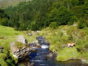 Mont�e au lac d'Ourrec