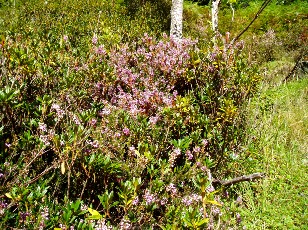 Mont�e au lac d'Ourrec