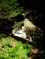 Magie et Beaut� de la Nature