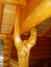 Gorges de la Po�ta-Raisse