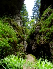 Gorges de la Po�ta-Raisse