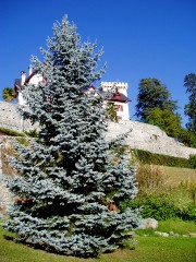 Magie et Beaut� de la Nature