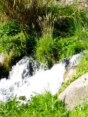 Magie et Beaut� de la Nature