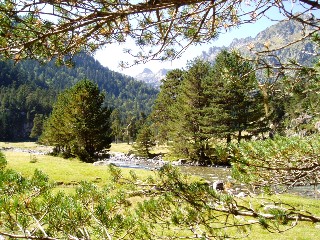 Magie et Beaut� de la Nature au Pont d'Espagne !
