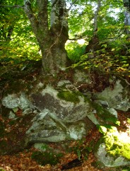 Magie et Beaut� de la Nature au Pont d'Espagne !