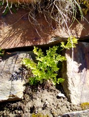 Magie et Beaut� de la Nature