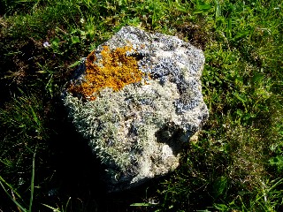 C�te de Tr�mazan en avril 